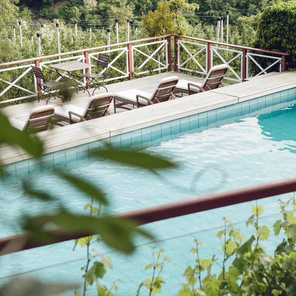 Sunbathe by our heated 8x13 m outdoor pool surrounded by rose🌹arches, wisteria vines and fruit...