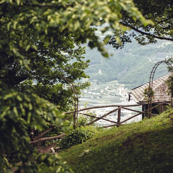 Immerse yourself in nature and in our 50,000 sqm fairytale castle park🌲. #castelfragsburg...